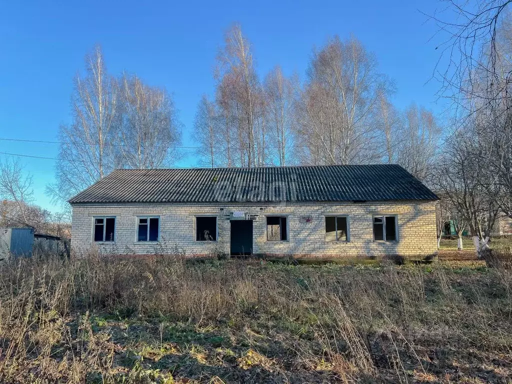 Дом в Мордовия, Лямбирский район, с. Лопатино ул. Центральная, 7А (199 ... - Фото 1