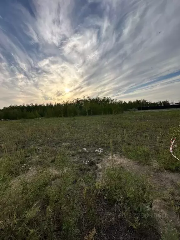 Участок в Саха (Якутия), Якутск городской округ, с. Маган ул. ДАРС ... - Фото 1