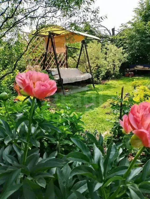 Дом в Томск, СНТ Бурундук, Клубничная улица (60 м) - Фото 1