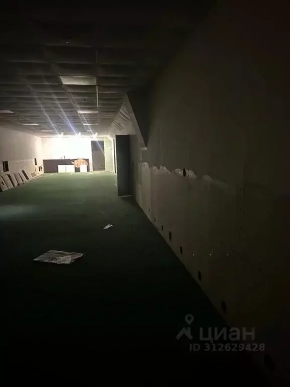 Помещение свободного назначения в Татарстан, Набережные Челны ул. ... - Фото 1