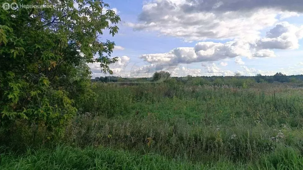 Участок в Тугулымский городской округ, село Лучинкино (15 м) - Фото 0