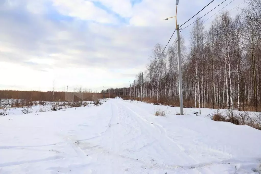 Участок в Тюменская область, Нижнетавдинский район, д. Штакульская  ... - Фото 1