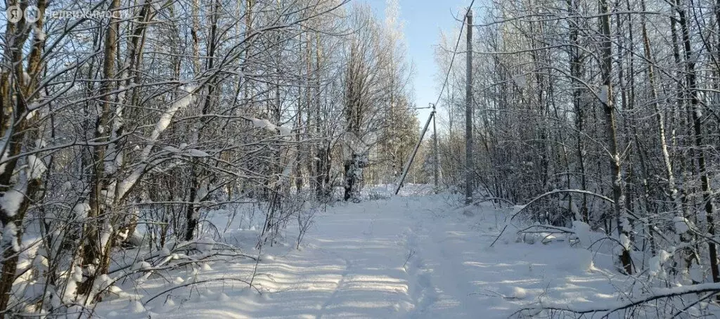 Участок в Рахьинское городское поселение, СНТ Ладожское (10.016 м) - Фото 2