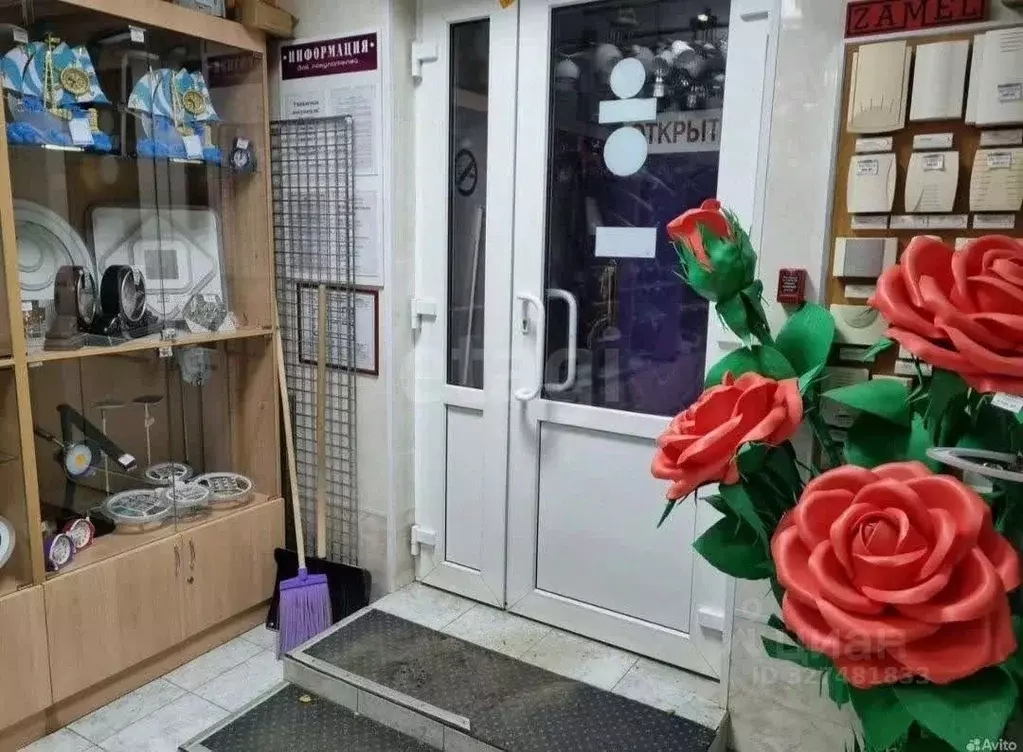 Торговая площадь в Пермский край, Лысьва ул. Мира, 12 (70 м) - Фото 1