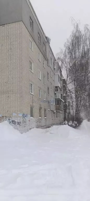 Помещение свободного назначения в Нижегородская область, Дзержинск ... - Фото 1