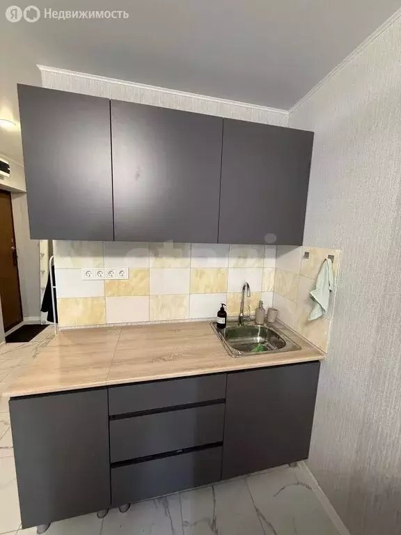 Квартира-студия: село Шумейка, микрорайон ДНП Парк-Хаус, 1 (20 м) - Фото 2