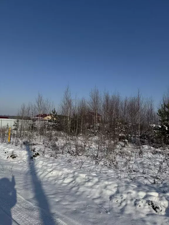 Участок в Нижегородская область, Богородский муниципальный округ, д. ... - Фото 0