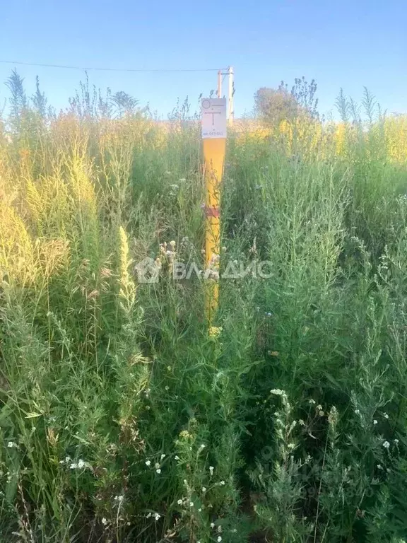 Участок в Нижегородская область, Богородский муниципальный округ, д. ... - Фото 1