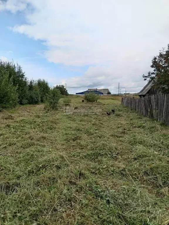 Участок в Владимирская область, Ковровский район, Новосельское с/пос, ... - Фото 1