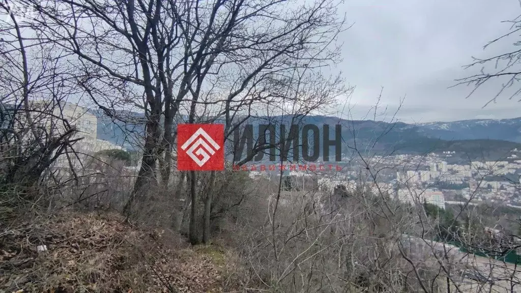 Участок в Крым, Ялта муниципальный округ, Виноградное пгт ул. Лесная, ... - Фото 2