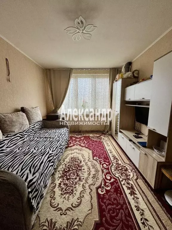 1-к кв. Санкт-Петербург Будапештская ул., 72К3 (29.1 м) - Фото 1