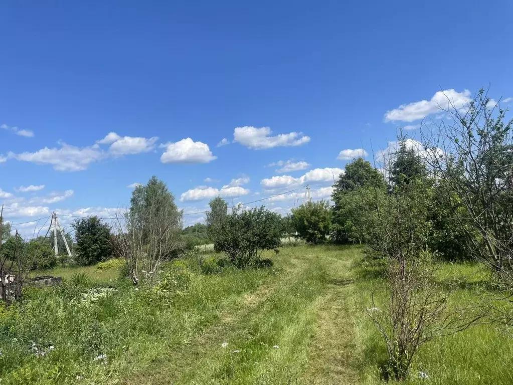 Участок в Тверская область, Конаковский муниципальный округ, д. Дорино ... - Фото 1