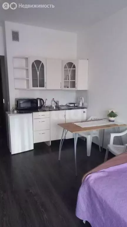 Квартира-студия: Санкт-Петербург, Арцеуловская аллея, 17 (25 м) - Фото 1