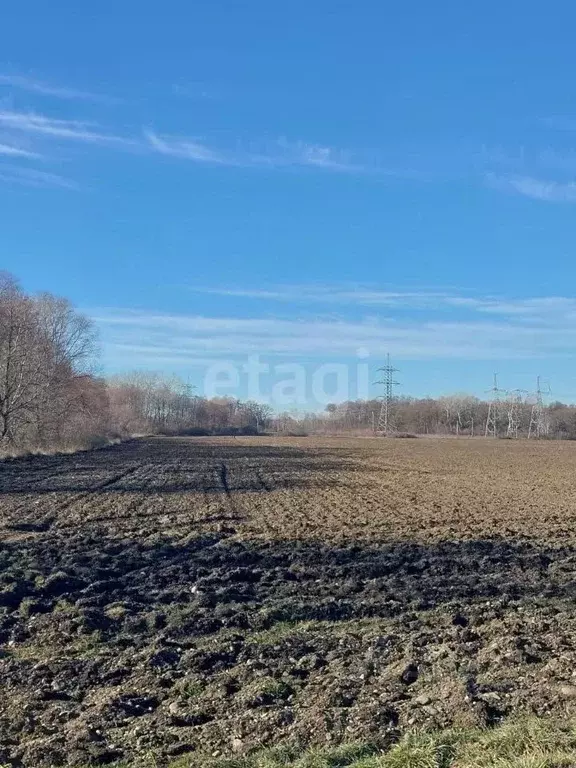 Участок в Адыгея, Майкоп городской округ, Ханская ст-ца ул. ... - Фото 0