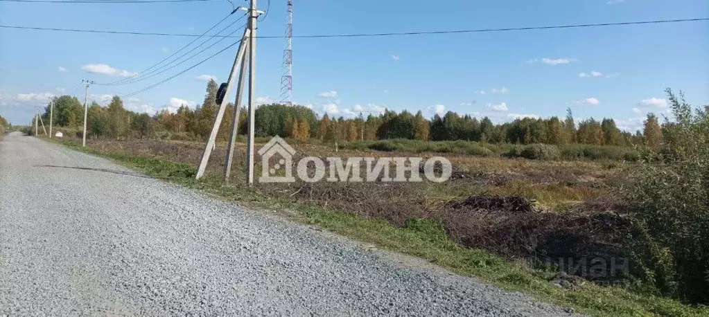 Участок в Тюменская область, с. Ярково ул. Черемуховая (10.0 сот.) - Фото 1