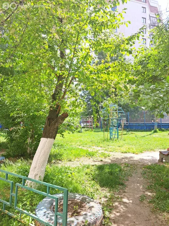 1-комнатная квартира: Екатеринбург, улица Челюскинцев, 88 (32 м) - Фото 0