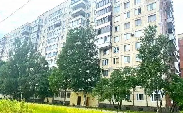 1-к кв. Санкт-Петербург просп. Наставников, 40К1 (32.5 м) - Фото 1