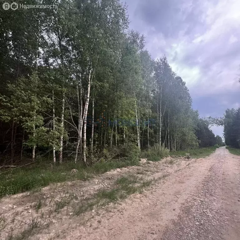 Участок в Нижегородская область, Богородский муниципальный округ, ... - Фото 2