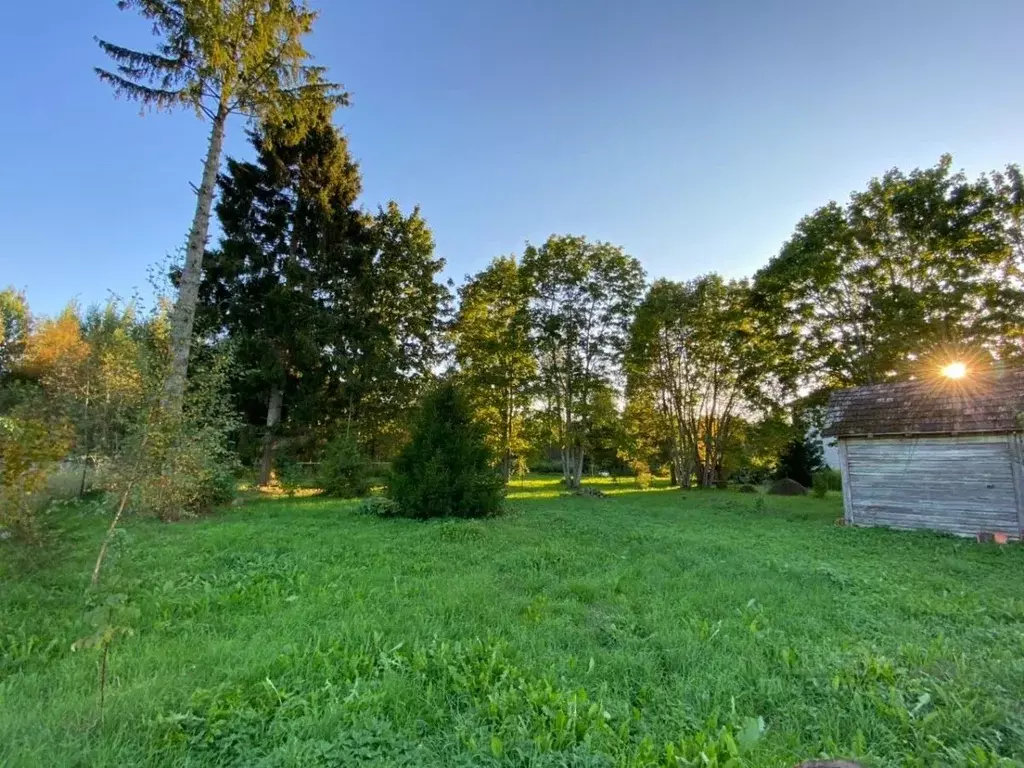 Участок в Ленинградская область, Приозерский район, Ларионовское ... - Фото 2