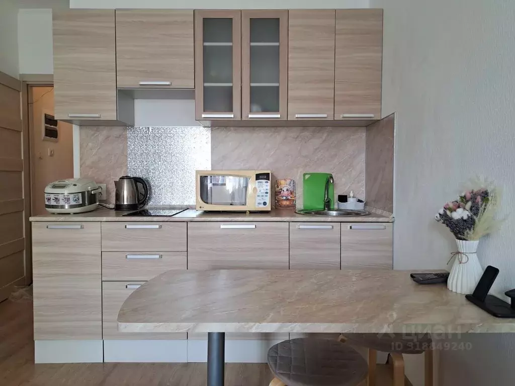 Студия Санкт-Петербург ул. Плесецкая, 20к1 (24.8 м) - Фото 0
