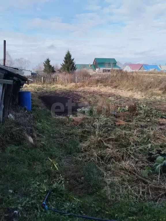 Дом в Новосибирская область, Колыванский район, с. Скала Лесная ул., ... - Фото 2