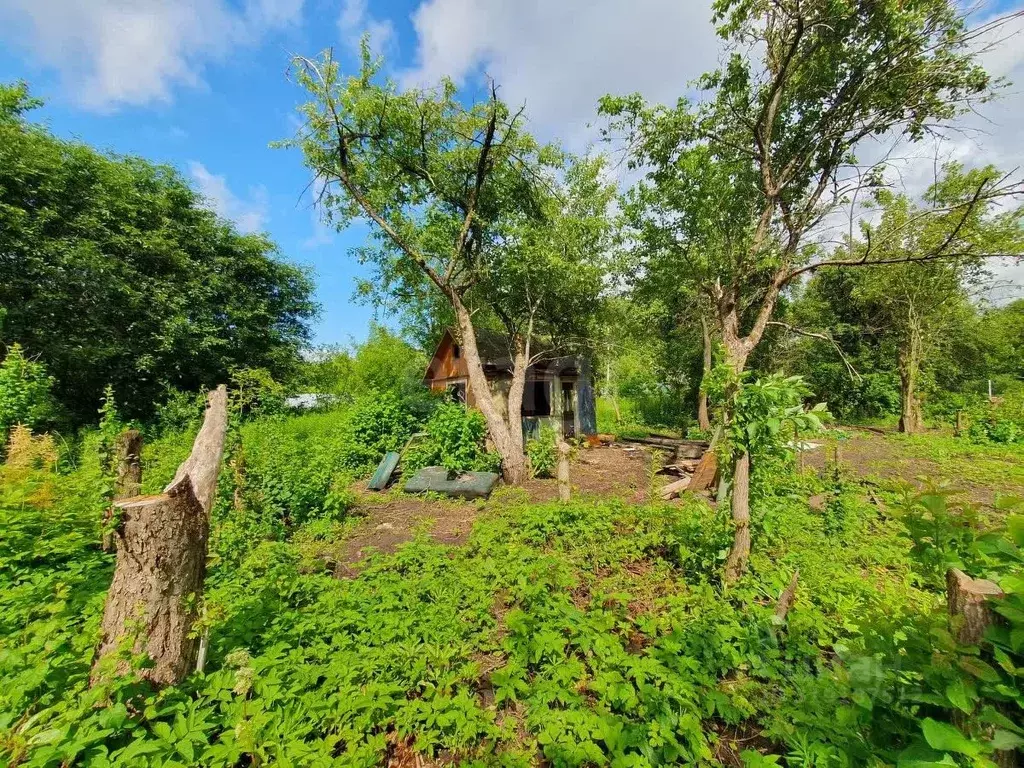 Участок в Брянская область, Брянск Коммунальник садовое общество,  ... - Фото 1