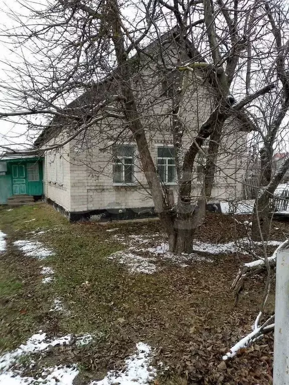 Дом в Липецкая область, с. Доброе пер. Набережный, 16 (50 м) - Фото 1