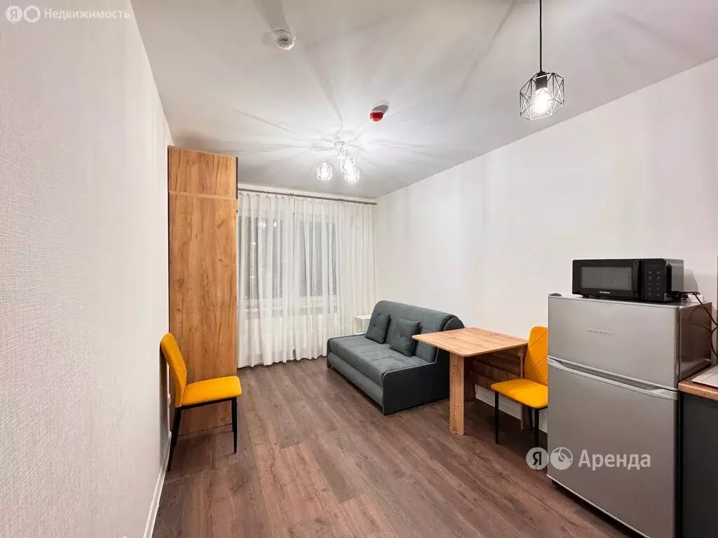 Квартира-студия: Санкт-Петербург, Муринская дорога, 31к3 (18 м) - Фото 1