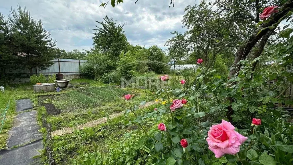 Участок в Калининградская область, Калининград Радуга СНТ, ул. 3-я ... - Фото 1