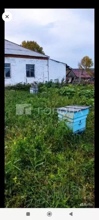 1-к кв. Новосибирская область, Черепановский район, с. Татарка ... - Фото 1