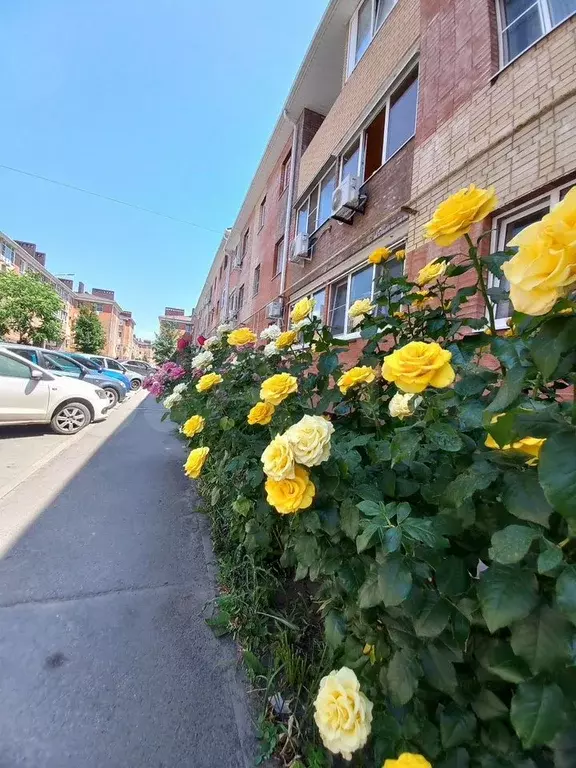 1-к. квартира, 33 м, 3/3 эт. - Фото 0