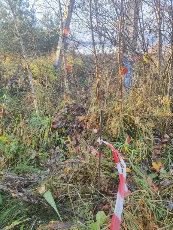 Участок, 12 сот., поселения (ижс) - Фото 2