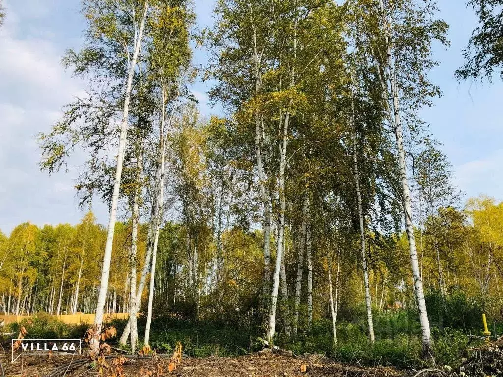 участок в свердловская область, сысертский городской округ, пос. . - Фото 0