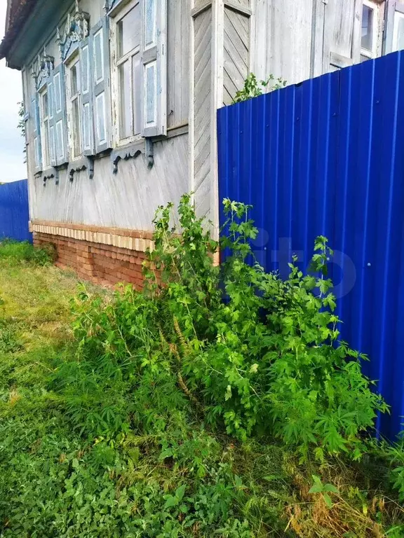 Дом 59,5 м на участке 20 сот. - Фото 0