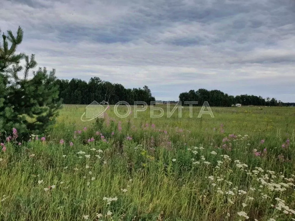 Участок в Тюменская область, Исетский муниципальный округ, д. ... - Фото 2