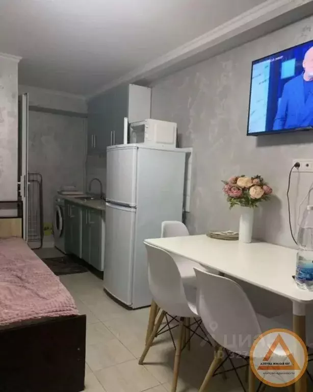 Студия Краснодарский край, Туапсинский муниципальный округ, с. Небуг, ... - Фото 1