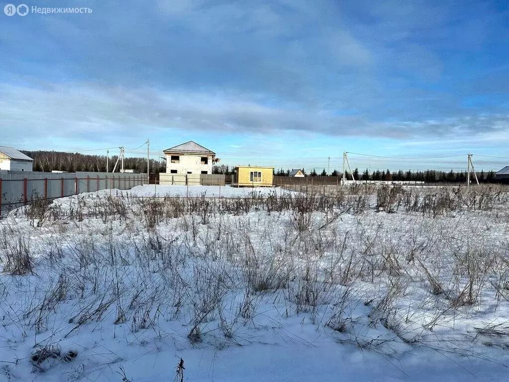 Участок в Раменский городской округ, деревня Запрудное (7 м) - Фото 0