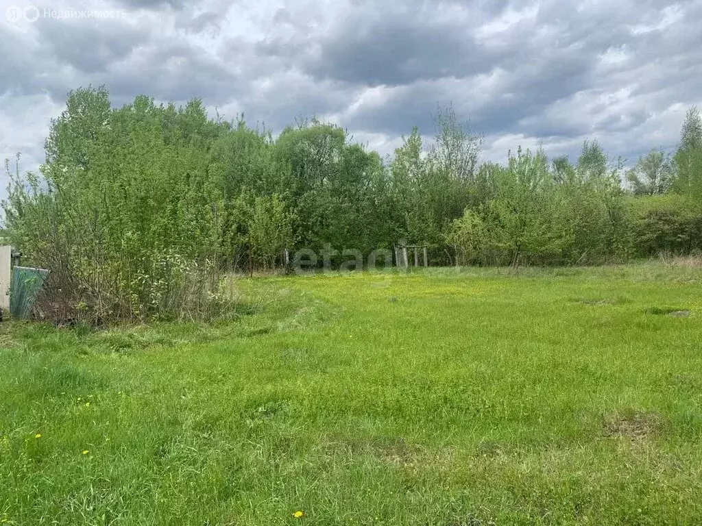 Участок в село Панское, Революционная улица (15 м) - Фото 0