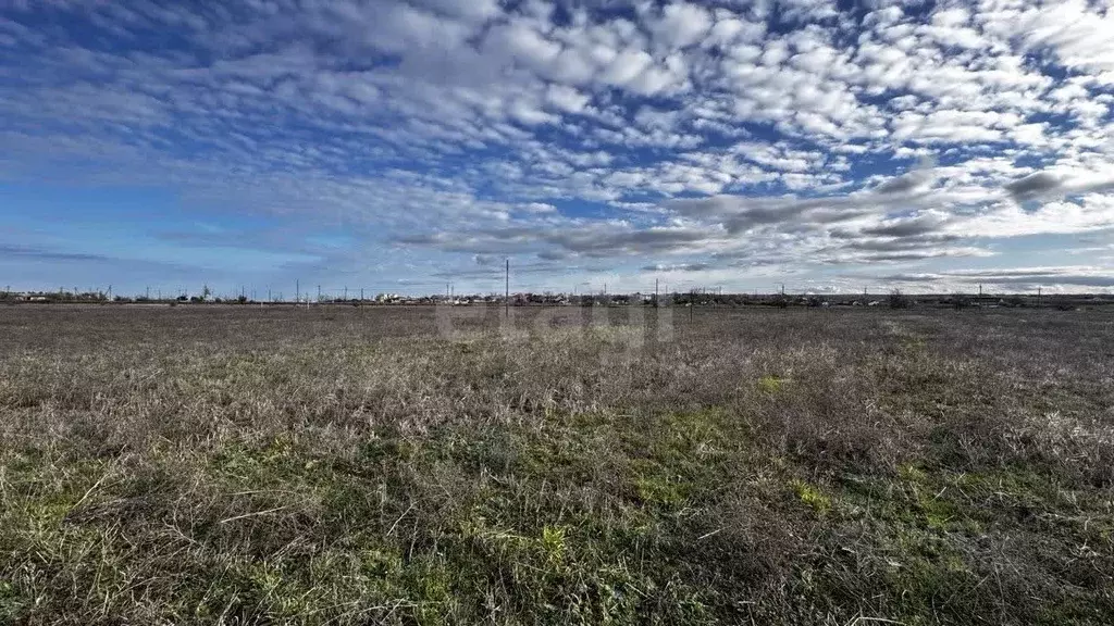 Участок в Крым, Ленинский район, Семисотское с/пос, Ак-Монай ТСН  (6.0 ... - Фото 1