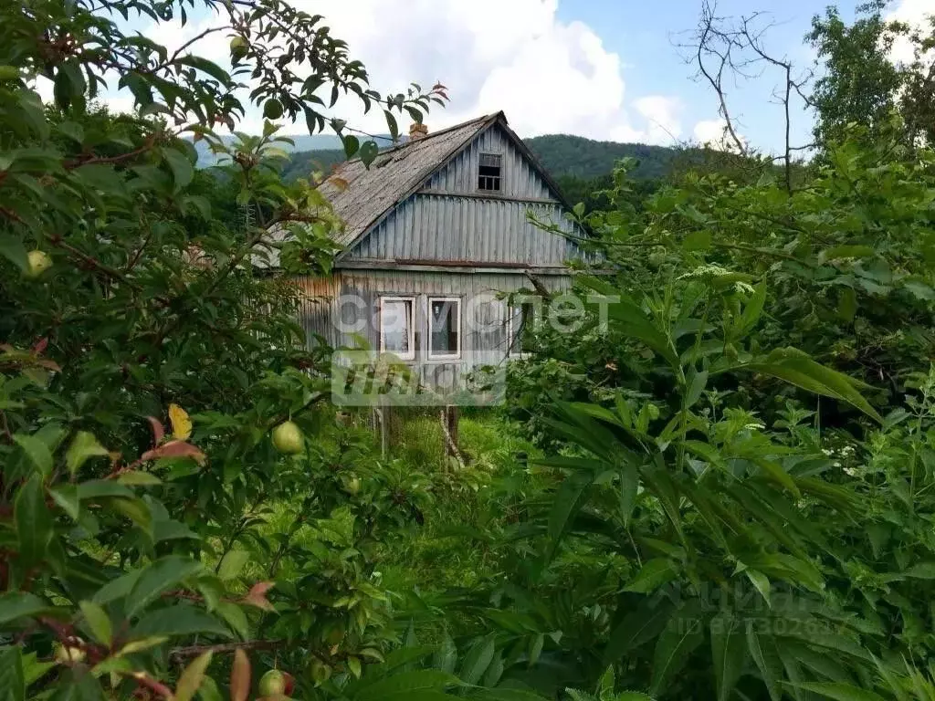 Участок в Краснодарский край, Туапсинский муниципальный округ, с. ... - Фото 1