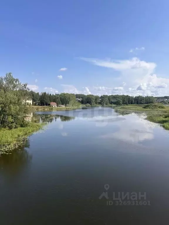 Участок в Ярославская область, Некрасовский муниципальный округ, с. ... - Фото 1