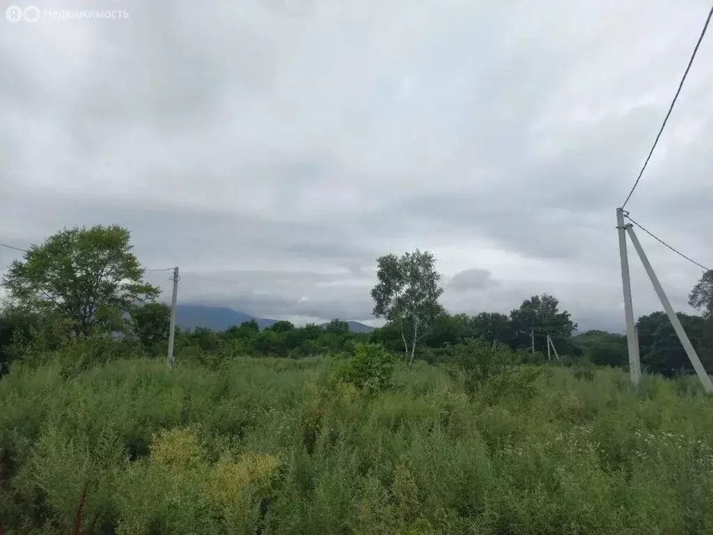Участок в Партизанск, улица Революции, 33 (10 м) - Фото 2