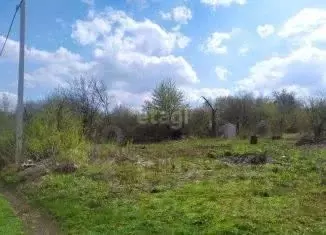 Участок в Липецкая область, Липецк Дачный-1 СНТ, 704 (6.0 сот.) - Фото 1