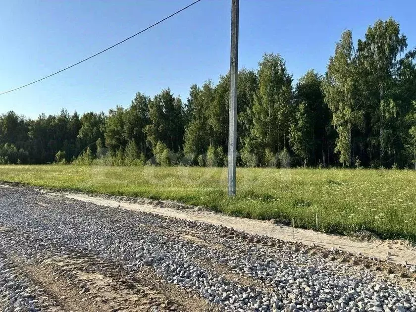 Участок в Тюменская область, Нижнетавдинский район, д. Московка  (7.0 ... - Фото 1