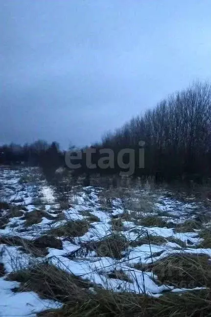 Участок в Вологодская область, пос. Лесково  (10.0 сот.) - Фото 2