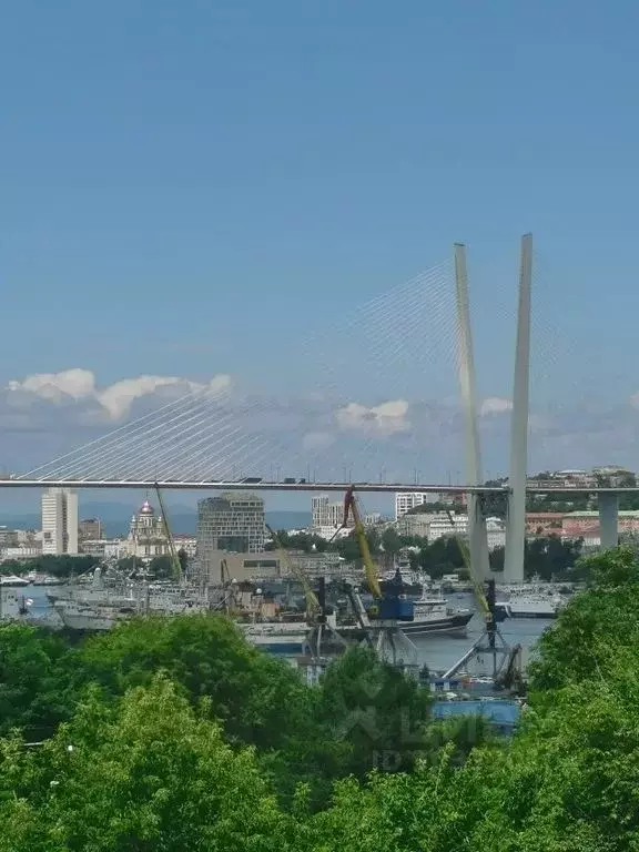 1-к кв. Приморский край, Владивосток ул. Калинина, 51 (33.0 м) - Фото 2