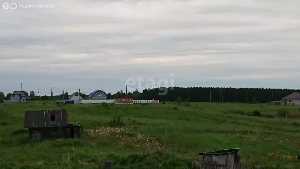 Участок в Камышловский район, Галкинское сельское поселение, село ... - Фото 2