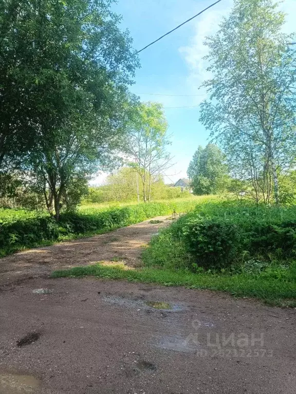 Участок в Новгородская область, Батецкий район, д. Косово  (14.0 сот.) - Фото 0