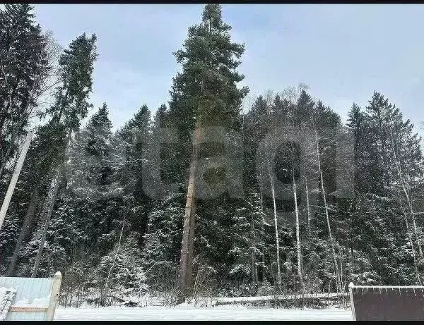 Участок в Московская область, Одинцовский городской округ, 30 лет ... - Фото 1