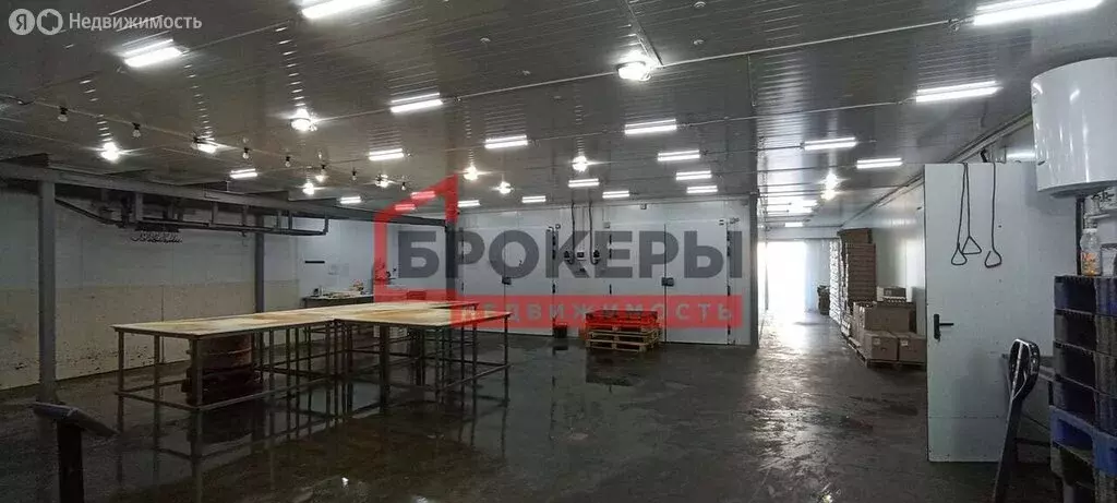 Помещение свободного назначения (531 м) - Фото 2